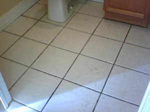 Grout stains go down deep where ordinary houshold cleaners and tools can't perform